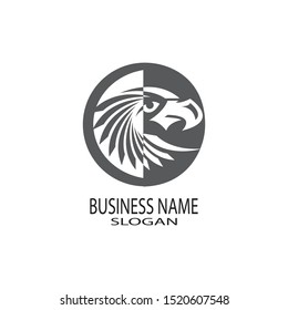 falcon eagle bird logo template vector