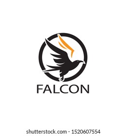 falcon eagle bird logo template vector