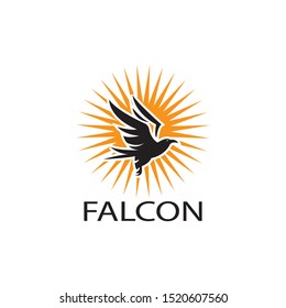 falcon eagle bird logo template vector