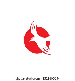 falcon eagle bird logo template vector