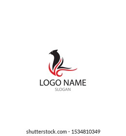 falcon eagle bird logo template vector