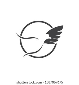 Falcon Eagle Bird Logo Template vector icon