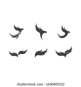 Falcon Eagle Bird Logo Template vector