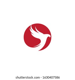 Falcon Eagle Bird Logo Template vector