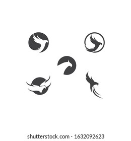 Falcon Eagle Bird Logo Template vector