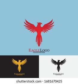 Falcon Eagle Bird Logo Template Vector Icon