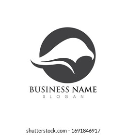  Falcon Eagle bird Logo Template vector illustration design