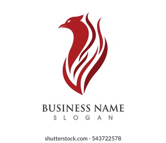 Falcon Eagle Bird Logo Template vector icon