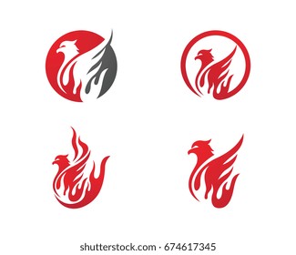 Falcon Eagle Bird Logo Template vector icon