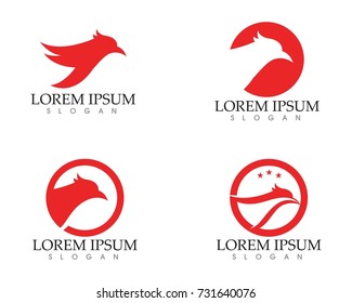 Falcon Eagle Bird Logo Template vector icon
