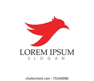 Falcon Eagle Bird Logo Template vector icon
