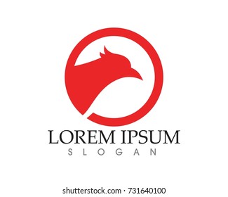 Falcon Eagle Bird Logo Template vector icon
