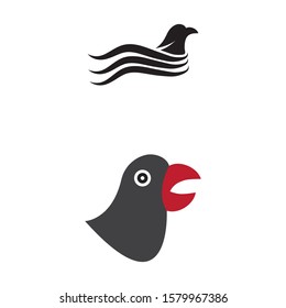 Falcon eagle bird Wave Logo Template vector symbol nature