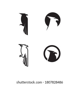 Falcon, eagle Logo and wings Template vector illustration design icon