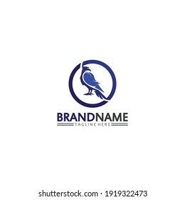 Falcon, eagle Logo and wings Template vector illustration design icon