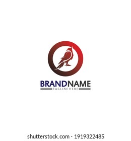 Falcon, eagle Logo and wings Template vector illustration design icon