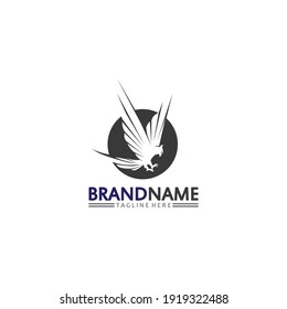 Falcon, eagle Logo and wings Template vector illustration design icon