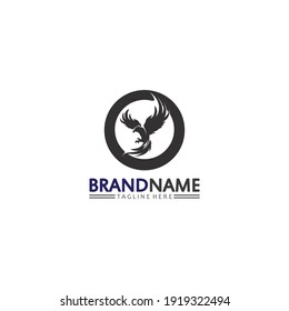 Falcon, eagle Logo and wings Template vector illustration design icon