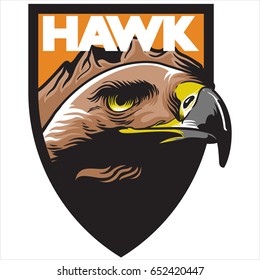 falcon eagle mascot team logo