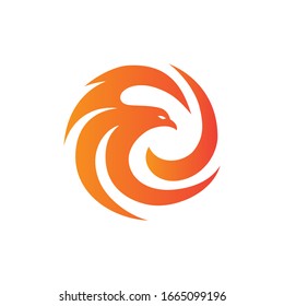 Falcon fire template logo vector