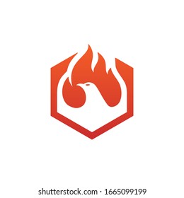 Falcon fire template logo vector