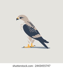 Falcon Flat Vector Art Wildlife, Bird, Predator, Nature, Icon.