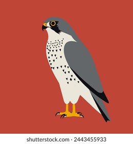 Falcon Flat Vector Art Wildlife, Bird, Predator, Nature, Icon.