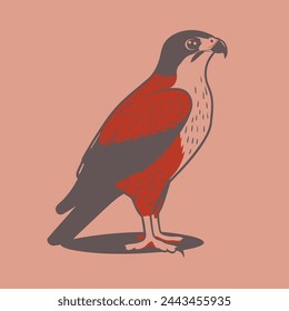 Falcon Flat Vector Art Wildlife, Bird, Predator, Nature, Icon.