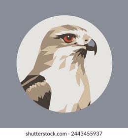 Falcon Flat Vector Art Wildlife, Bird, Predator, Nature, Icon.