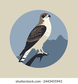 Falcon Flat Vector Art Wildlife, Bird, Predator, Nature, Icon.