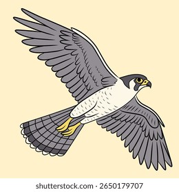 Imagem do Falcon Flying Vetor. Ilustração do vetor voador do falcão peregrino.