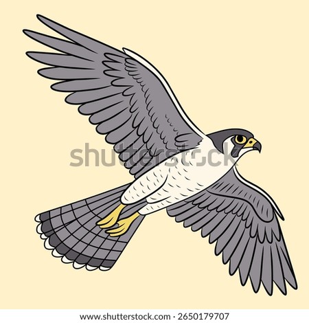 Falcon Flying Vector Image. Peregrine Falcon Bird Flying Vector Illustration.