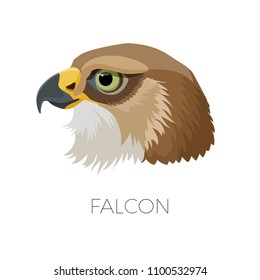 Falcon gorgeous profile with sharp beak and green eyes