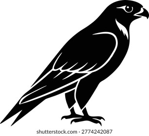 Falcon hawk bird of prey logo vector
