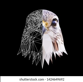 Falcon head on black background, low poly triangular and wireframe vector illustration EPS 10 isolated. Polygonal style trendy modern logo design. Suitable for printing on a t-shirt.