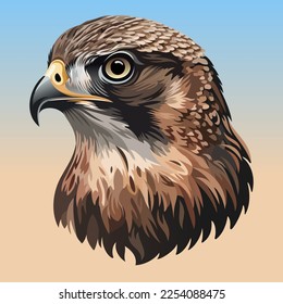 Falcon head. Vector color illustration.