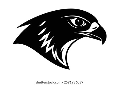 A falcon head vector illustration 