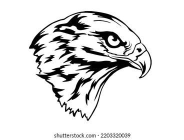 Falcon Head Vector, on white