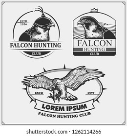 Falcon heraldry coat of arms. Labels, emblems and design elements for sport club. Print design for t-shirts.