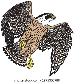  falcon a hunter in flight. Flying bird of prey. Falconry. Isolated vector illustration