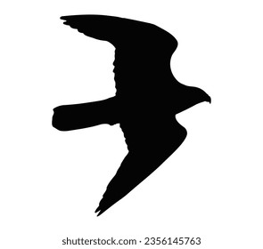 Ilustración de icono de Halcón aislado símbolo vector siluetas Imágenes.