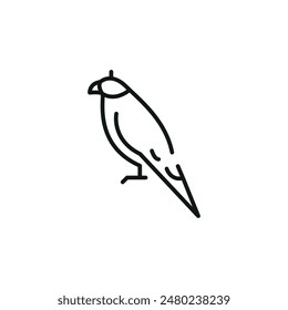 Falcon icon. Represents a bird, commonly kept as a companion animal in cages or aviaries. Ideal for use in pet-related businesses, veterinary services, or pet care apps. Vector illustration