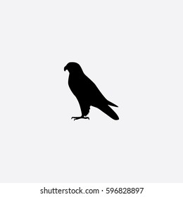 Falcon Icon Silhouette Vector Illustration
