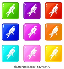 Falcon icons of 9 color set isolated vector illustration