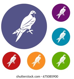 Falcon icons set in flat circle reb, blue and green color for web