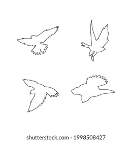 Falcon logo design template, icon illustration