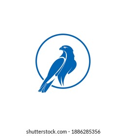 falcon logo icon illustration design modern