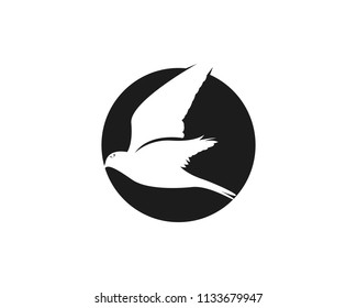 Falcon Logo Template