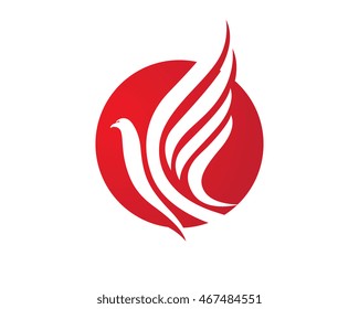 Falcon Logo Template