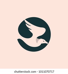 Falcon logo template, eagle wings, hawk vector icon